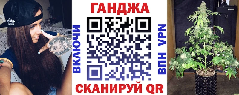 Конопля планчик  Купить  Тайга 